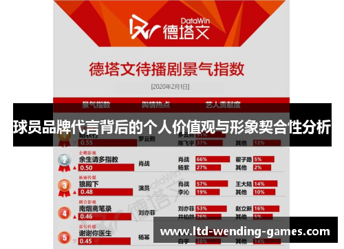 球员品牌代言背后的个人价值观与形象契合性分析