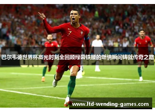 巴尔韦德世界杯高光时刻全回顾绿茵铁腰的燃情瞬间铸就传奇之路 巴尔韦德世界杯高光时刻全回顾绿茵铁腰的燃情瞬间铸就传奇之路
